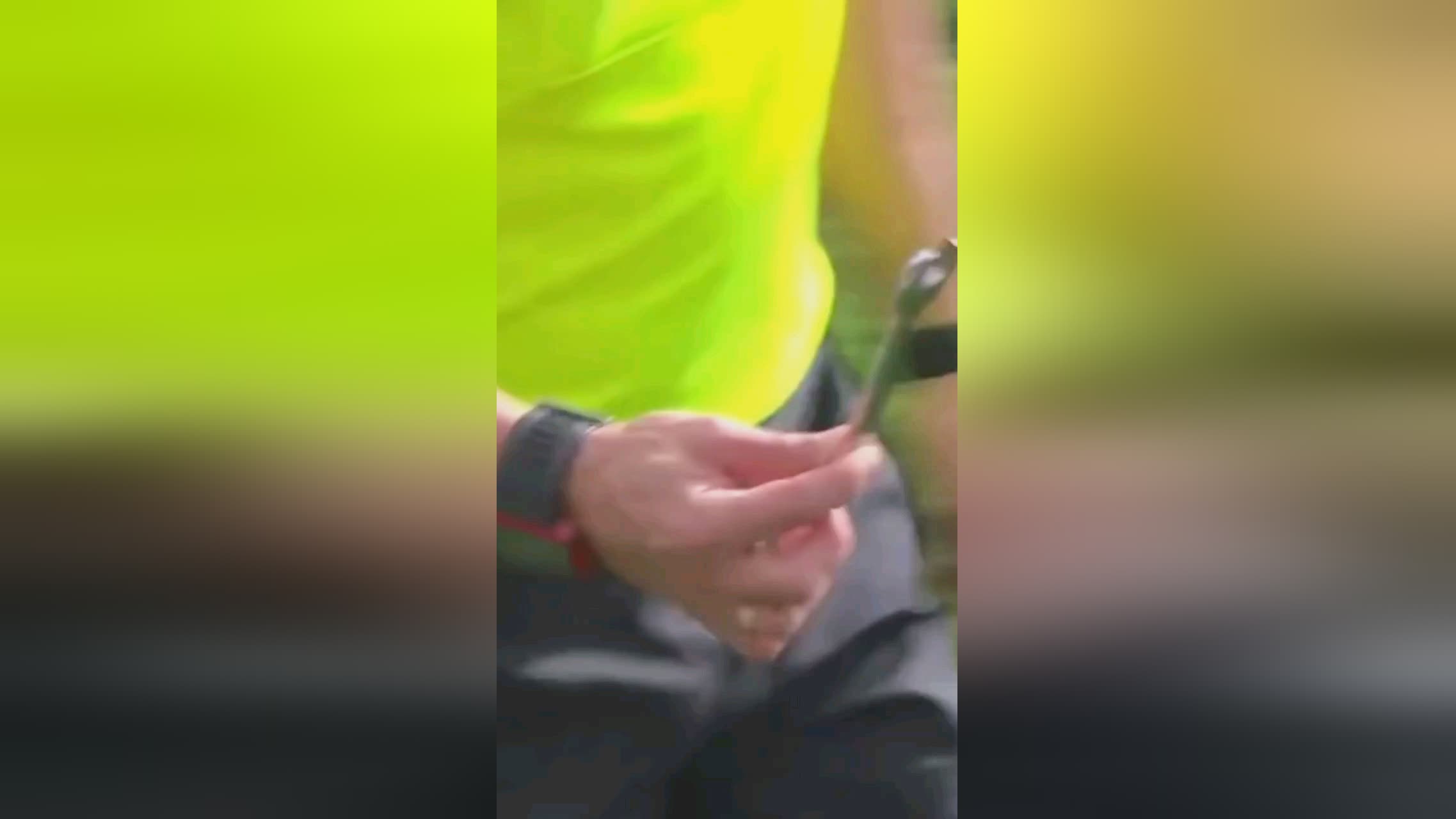 程迎来了更